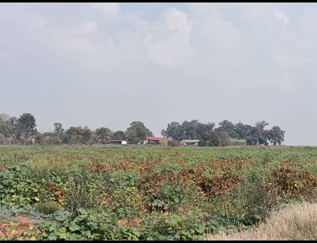 506.20HA FARM FOR SALE IN BLESBOKLAAGTE